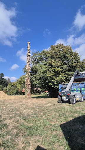 Grand arbre démonté, branches évacuées au chargeur