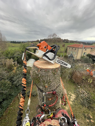 Tronçonneuse posée sur un tronc en cours de démontage, vue sur la campagne