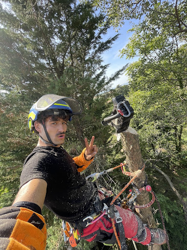 Maël De Andrade dans un arbre, casque et matériel de grimpe