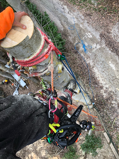Cordes, poulies et mousquetons d’arboriste grimpeur